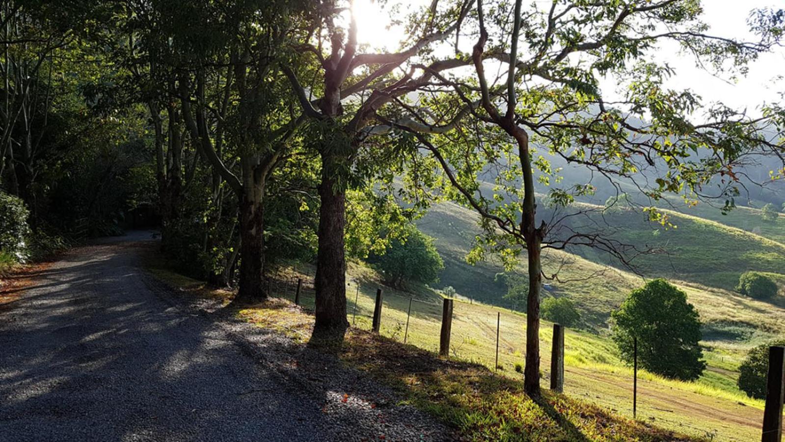 Dayboro Cottages エクステリア 写真